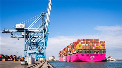 تداول 31 سفينة بضائع في ميناء دمياط خلال 24 ساعة 