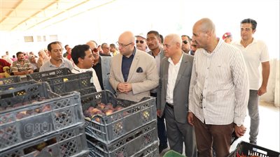 محافظ بني سويف يتفقد منفذ بيع خضروات وفاكهة الصوب بأسعار مخفضة