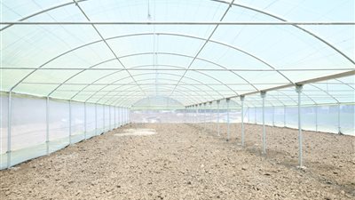 السفير الياباني يتفقد مشروع الصوب الزراعية في كفر الشيخ