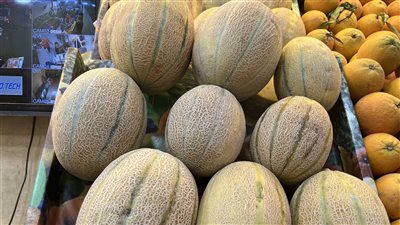 شمام بطعم النعناع والليمون، تعرف على أسعار الفواكه والخضروات بالبحيرة (فيديو وصور)