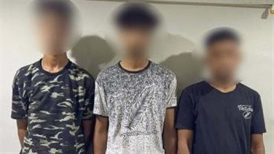 سقوط 15 لصًا لارتكاب جرائم سرقات من بينها فيلا لرجل أعمال بالشيخ زايد