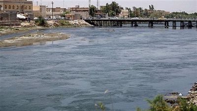 شروط وضوابط زراعة الأرز وفقا لقانون الموارد المائية والري