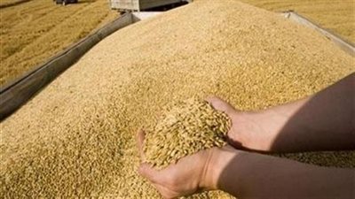 مصر تتسلم 58 ألف طن قمح فرنسي لصالح هيئة السلع التموينية
