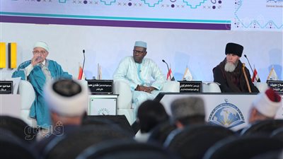 مفتي تونس: مقدساتنا مستهدفة وقبلتنا الأولى ينكل فيها بشعب شقيق