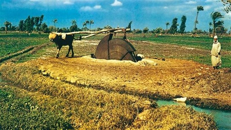  الزراعة والإنتاج
