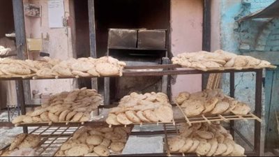 تحرير 210 مخالفات تموينية خلال حملات في الصف وأطفيح