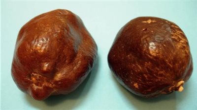 فوائد الدوم، يعزز صحة القلب والكلى ويعزز المناعة 