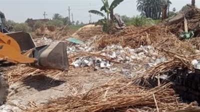  معركة مستمرة ضد التعديات بالجيزة.. جهود مكثفة لحماية الرقعة الزراعية.. وخطة متكاملة لاكتشاف المخالفات