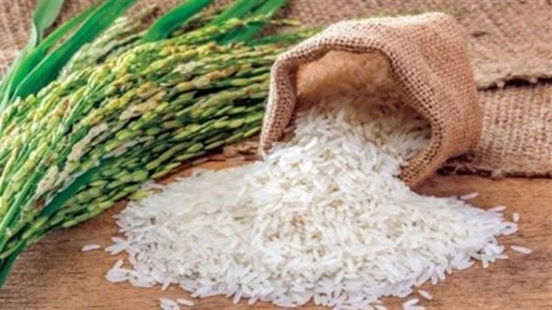 سعر الارز