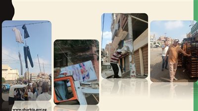 حملات مكبرة لرفع الإشغالات والإعلانات المخالفة بمراكز الشرقية 