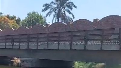 محافظ الجيزة يتفقد كوبرى البليدة بالعياط (فيديو)
