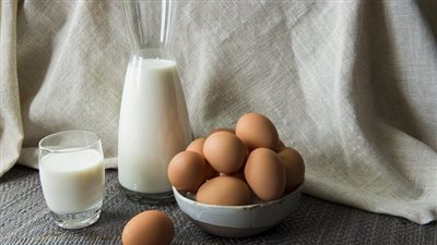 مشروب الطاقة الطبيعي، البيض باللبن الحليب للرياضيين والأطفال وكبار السن 