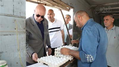 محافظ بني سويف يتفقد مشروعات الدواجن المركزية