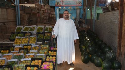 أسباب ارتفاع سعر البطيخ في الأسواق (فيديو وصور) 