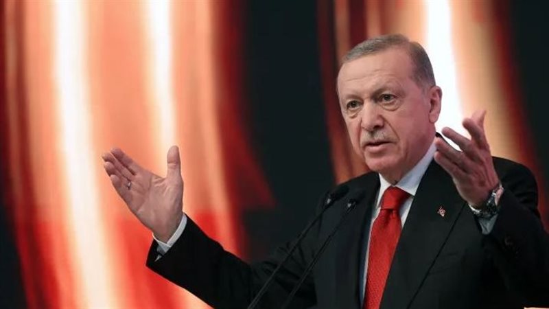 أردوغان، فيتو 