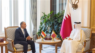 وزير الخارجية ونظيره القطري يبحثان زيادة التبادل التجاري بين البلدين