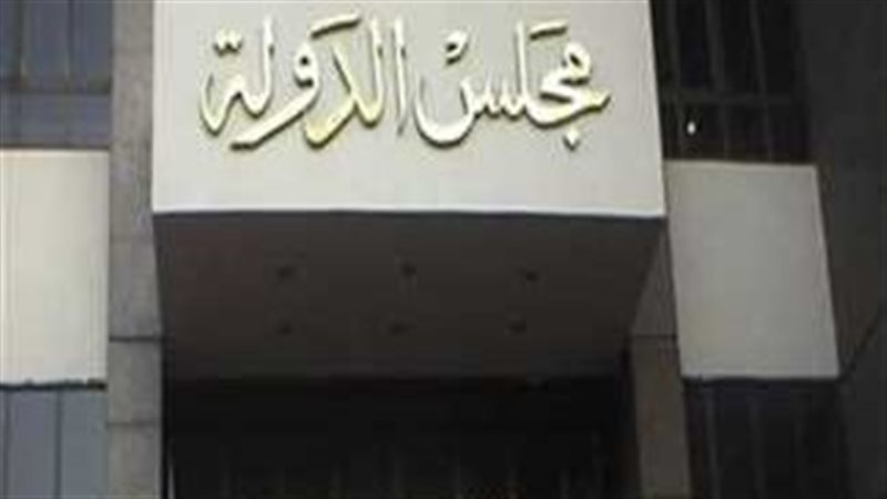 مجلس الدولة 