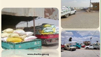 استمرار تدفق القمح لصوامع محافظة الشرقية