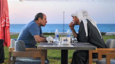 5 صور ترصد تفقد السيسي وبن زايد مدينة العلمين الجديدة