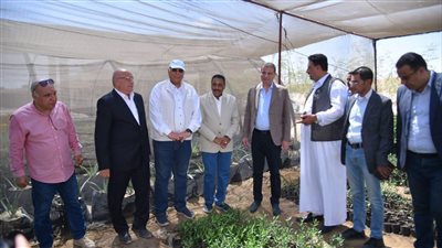 وزير الزراعة ومحافظ مطروح يوزعان 50 ألف شتلة زيتون على المزارعين