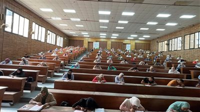 مركز التطوير المهني بجامعة دمنهور يبدأ اختبارات تحديد المستوى لدورات اللغة الإنجليزية