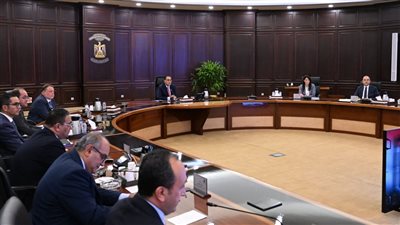 مجلس الوزراء: الطروحات الحكومية الجديدة تشمل حصصا في عدد من الشركات والبنوك