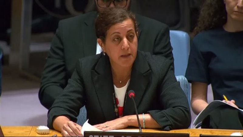 نائبة المندوب الفلسطيني
