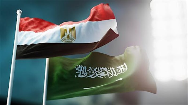 العلاقات المصرية