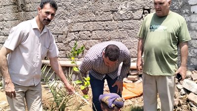 زراعة 300 شجرة مثمرة بقرية طيبة بالدلنجات ضمن القافلة التنموية الشاملة لجامعة دمنهور