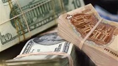 خبير اقتصادي: صندوق النقد يسعى لمرونة أكثر لسعر الصرف (فيديو)