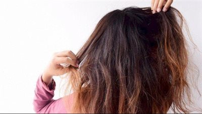 أفضل خلطات طبيعية، للعناية بالشعر الطويل