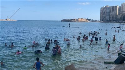 مصايف الإسكندرية تعلن نسب إشغال الشواطئ 