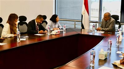 وزير الكهرباء يبحث خطوات زيادة قدرة الشبكة لاستيعاب الأحمال 