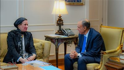 شراكة استراتيجية لتعزيز العمل المناخي.. وزيرا الخارجية والبيئة يجتمعان لتعزيز التعاون البيئي الدولي.. والاستعداد لمؤتمر COP 29 «أبرز الملفات» 