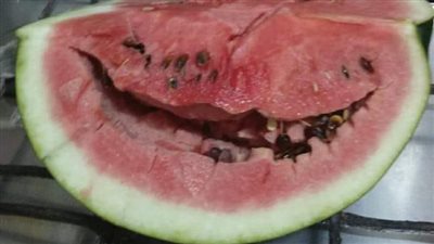 تحذير من البطيخ الأسفنجي، وحقيقة حقنه بمادة مسرطنة لزيادة حجمه