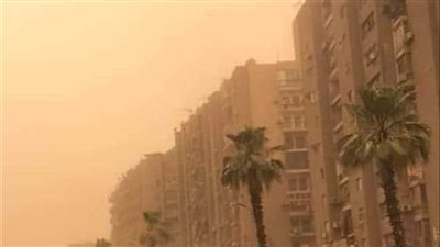 3 أعمال مستحبة وقت هبوب الريح، لا تتردد في فعلها 