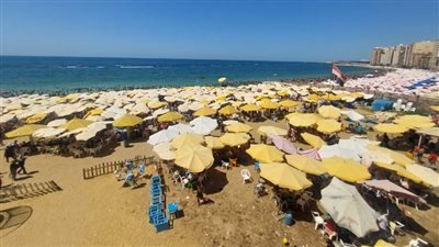 مصايف الإسكندرية: ارتفاع نسبة إشغال المواطنين للشواطئ بالقطاع الشرقي 