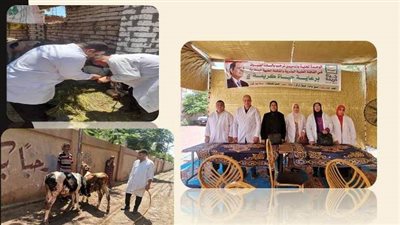 قافلة طبية بيطرية مجانية بقرية الدميين في فاقوس