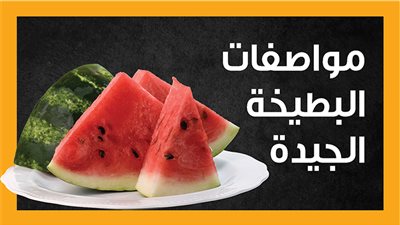 مواصفات البطيخة الجيدة (إنفوجراف)