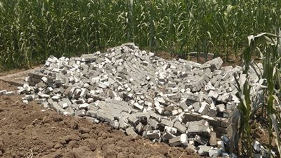 إزالة 31 حالة تعدي على الأراضي الزراعية وأملاك الدولة بالبحيرة