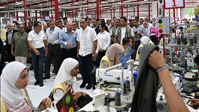الحكومة تزف بشرى سارة لأصحاب المشروعات الصناعية (فيديو)