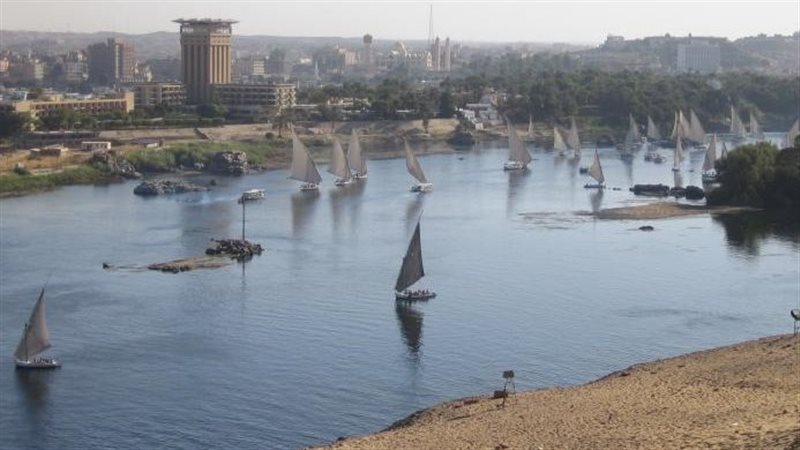 أسوان، فيتو