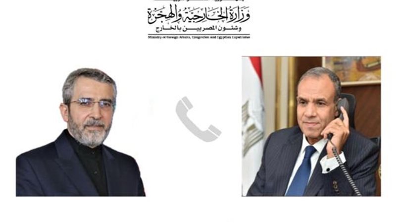 وزير الخارجية ونظيره