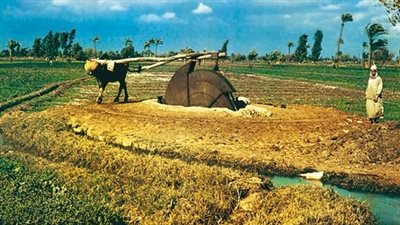 الوزراء: معدل أجور العاملين في 58 % من الأراضي الزراعية يضمن لهم حياة كريمة (إنفوجراف)