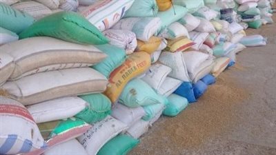 توريد 619 ألف طن قمح لصوامع الشرقية منذ بداية الموسم
