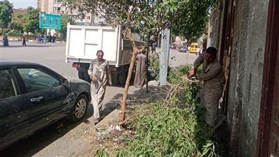 مجلس مدينة قنا يكشف حقيقة قطع الأشجار من الشوارع (صور)