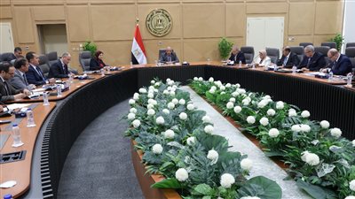 الكهرباء: التصدي لسرقات التيار ولجان تفتيش لمتابعة تركيب العدادات الكودية