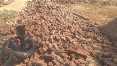 إزالة حالة تعدٍ بالبناء على الأراضي الزراعية في قنا (صور)