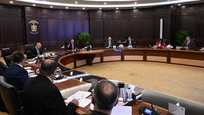 اجتماع عاجل لرئيس الوزراء بشأن صناعة السكر المحلية في مصر 