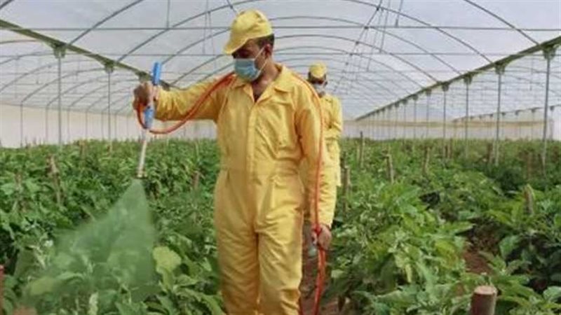 استبدال الإكراه البدني